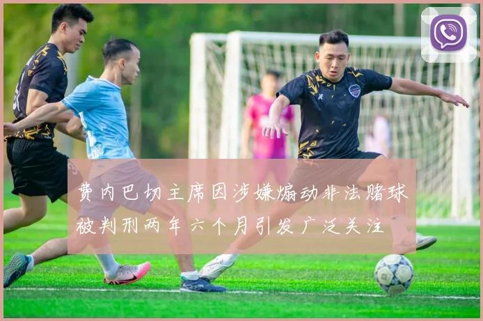费内巴切主席因涉嫌煽动非法赌球被判刑两年六个月引发广泛关注
